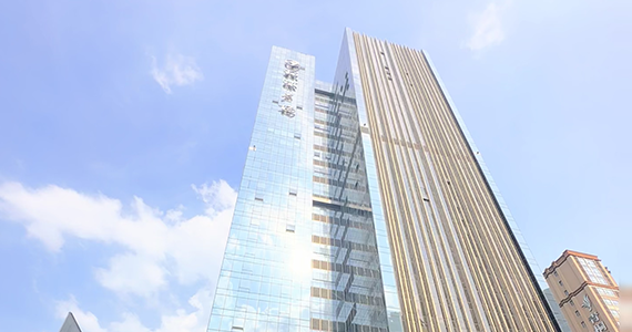 中文com域名查询