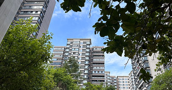 com域名解析查询