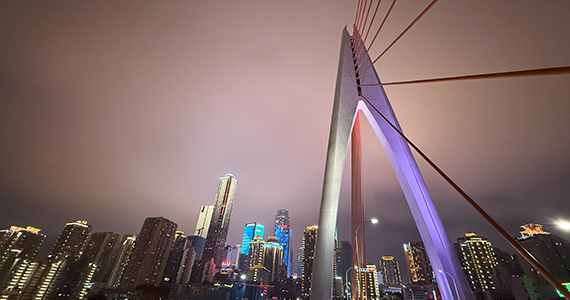 怎么查询com域名