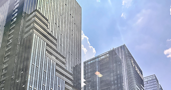 com动态ip域名备案批量查询